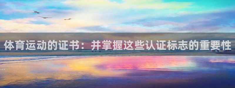 菲律宾ug环球官网：体育运动的证书：并掌握这些认证标志的重要性
