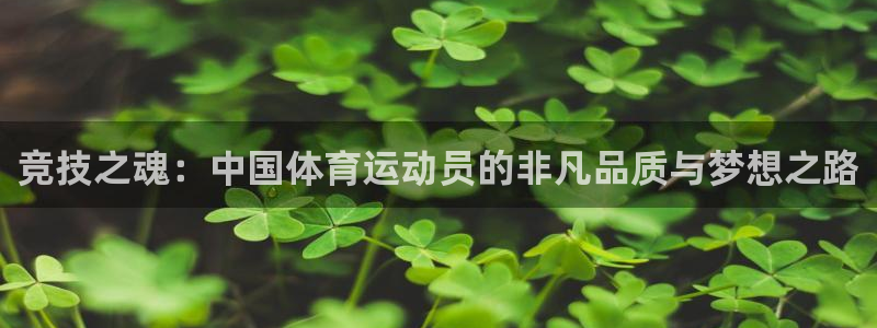 菲律宾ug环球官网：竞技之魂：中国体育运动员的非凡品质与梦想之路