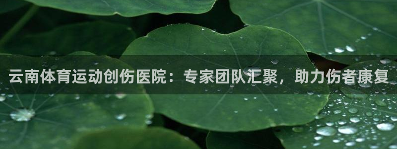 菲律宾ug环球官网：云南体育运动创伤医院：专家团队汇聚，助力伤者康复