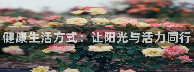 ug环球官网注册：健康生活方式：让阳光与活力同行