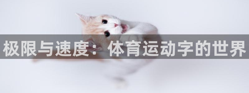 菲律宾ug环球官网：极限与速度：体育运动字的世界