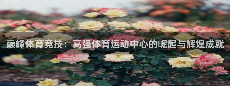 ug环球官网注册：巅峰体育竞技：高强体育运动中心的崛起与辉煌成就