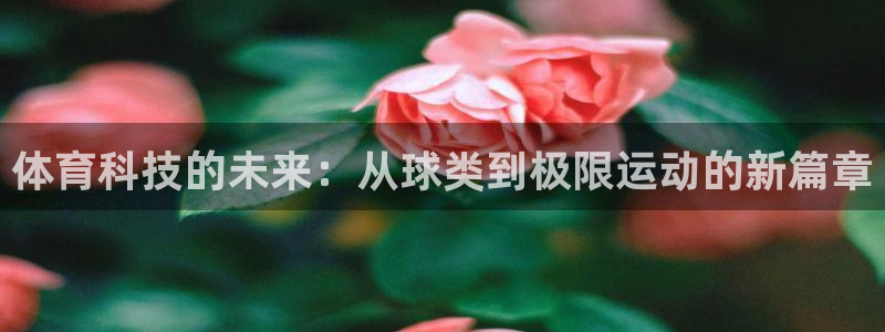 ug环球官网登录入口：体育科技的未来：从球类到极限运动的新篇章