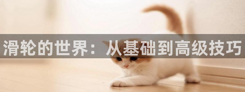 ug环球官网注册：滑轮的世界：从基础到高级技巧
