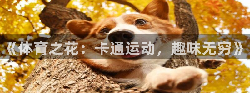 ug环球官网：《体育之花：卡通运动，趣味无穷》